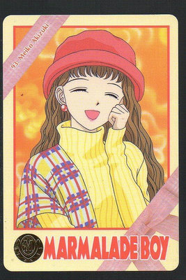 《CardTube卡族》(060930) 93 日本原裝橘子醬男孩 PP萬變卡∼ 1995年遊戲普卡