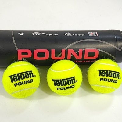 teloon天龍網球pound網球訓練球比賽用球初學者練習P4專業4只罐裝正品促銷