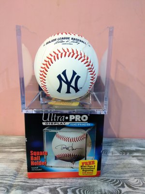 MLB美國大聯盟  紐約洋基隊 球隊隊徽 Rawlings 紀念棒球 附壓克力展示盒Ultra.PRO 王建民