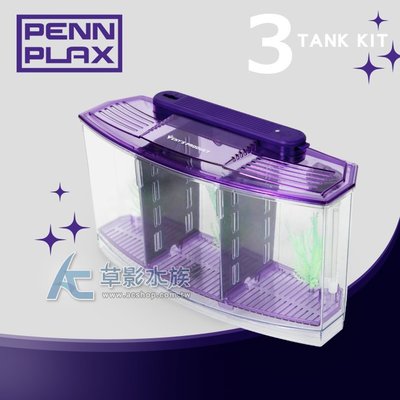 【AC草影】PENN-PLAX 龐貝 LED鬥魚缸/隔離盒（三格）【1個】