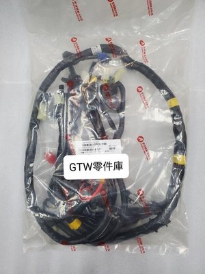 《GTW零件庫》全新 宏佳騰 AEON 原廠 OZS 150 主配線