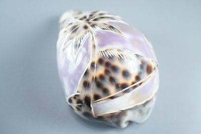 「還願佛牌」泰國 進口 雕刻 貝殼 擺飾 工藝品 海螺