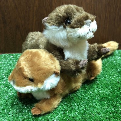 【誠誠小舖】日本進口 正版 動物 SUNLEMON 水獺 擬真 可愛 絨毛 玩偶 娃娃 深棕色 淺棕色 S尺寸
