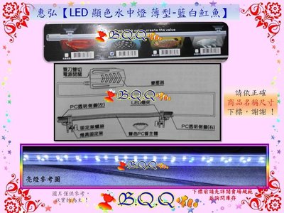[B.Q.Q小舖]台灣HH- 惠弘【LED 顯色水中燈 薄型-藍白魟魚 4尺/120cm 】