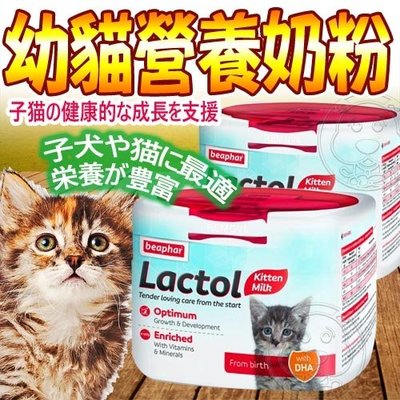 【🐱🐶培菓寵物48H出貨🐰🐹】beaphar 樂透》Lactol幼貓營養奶粉-250g 特價349元