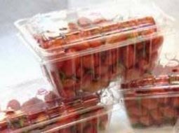 蕃茄盒 加厚款 防霧 有打孔 400個 番茄盒(零售100入250元)