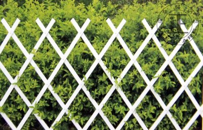 環球ⓐ園藝資材☞塑膠伸縮圍籬 花架 花盆 籬笆 圍籬 圍籬 柵欄 園藝造景居家佈置庭園造景