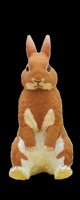 【QQ公仔物語】【NA576】【現貨 滿千免運】Kitan 坐姿兔兔 坐姿動物 兔子 公仔 單賣 橘兔