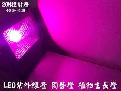 台灣第一名＊LED投射燈 集成式超廣角 20W 園藝照景花卉植物 戶外防水 紫外線燈 植物生長燈 台南自取免運　臺灣第一