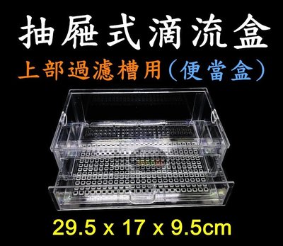 【樂魚寶】台灣製 新型 抽屜式 滴流盒 (便當盒) 上部過濾、滴流槽 29.5*17*9.5cm