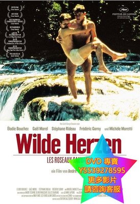 DVD 專賣 野蘆葦/野戀/The Wild Reeds 電影 1993年