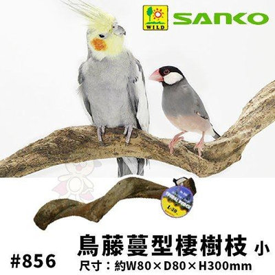 日本SANKO 鳥藤蔓型棲樹枝(小)#856 營造鳥籠有趣的遊樂場式棲息地 鳥籠必備『WANG』