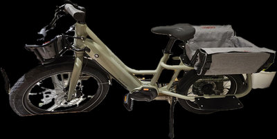 Dosun CG135 電動輔助自行車 莫蘭迪綠