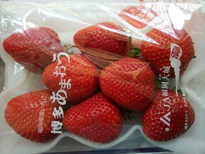 日本福岡大果草莓種子15粒100元