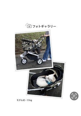 Airbuggy dome3 large寵物推車限定版