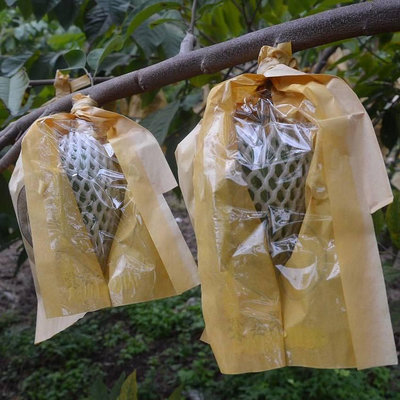側開鳳梨蜜釋迦果套袋專用袋賴球佛頭果袋牛奶刺果番荔枝水果紙袋~滿200元發貨