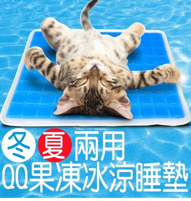 【巧婦樂】寵物專用 冬夏兩用 冷凝膠冰涼墊/枕墊/坐墊 冷暖兩用30x40cm