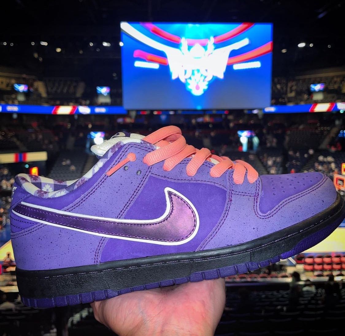 Nike SB Dunk Low Concepts Purple Lobster | Yahoo奇摩拍賣