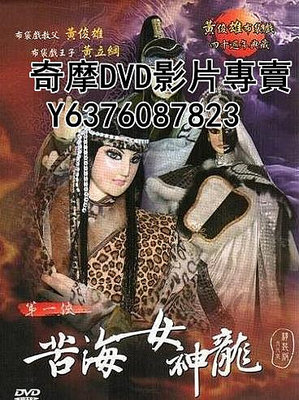 DVD 2000年 布袋戲 第一俠苦海女神龍