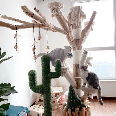 仿真枯樹貓爬架造型樹干枝裝飾造景櫥窗大型小戶型一體樹屋大樹枝~不含運請諮詢