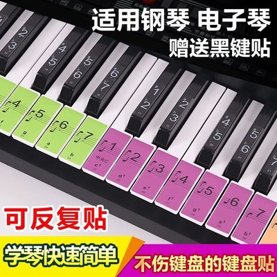 鋼琴貼紙 88/61/54鍵盤貼兒童彩色琴鍵貼紙通用電子琴鍵~特價