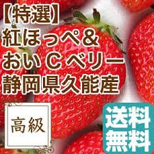 "草莓族"日本草莓種子/日本靜岡おいCベリ草莓王/10粒入種子