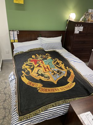 【熱賣精選】 哈利波特霍格沃茲學院周邊收藏毛毯掛毯壁毯子