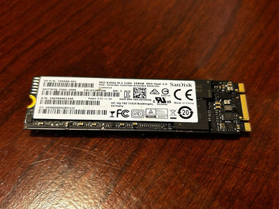 二手Sandisk M.2 SATA SSD固態硬碟256G台北可面交（已）