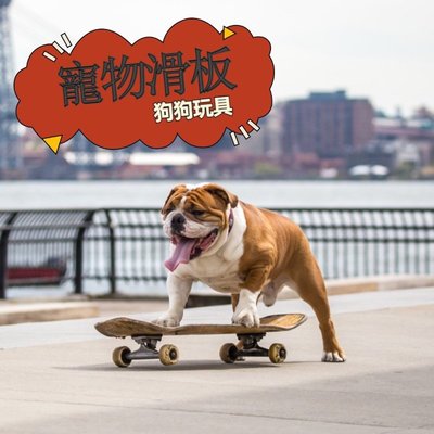 CC小铺【】寵物滑板 法鬥滑板 狗狗滑板 滑板 狗狗滑板玩具 寵物玩具 寵物滑板玩具 狗玩具TikTok熱門ins/FB熱