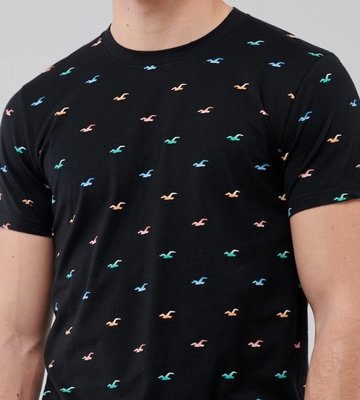 HCO Hollister 海鷗 印花 滿版彩色小海鷗logo 短T 短袖T恤 現貨 黑色