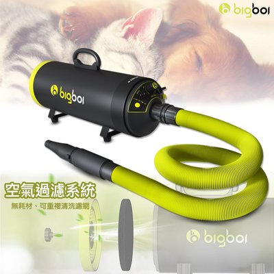 bigboi 【寵物乾燥吹風機 MINI PLUS+】 吹水機 寵物用品 寵物吹風機 雙倍風力 寵物乾燥吹風 寵物美容