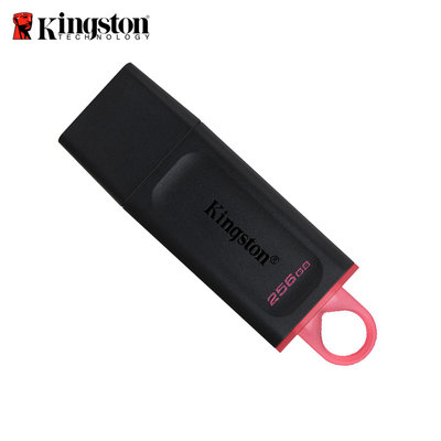 Kingston金士頓 256GB USB3.2 高速隨身碟 DataTraveler DTX(KT-DTX-256G)