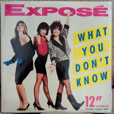 全新未拆黑膠 EXPOSE-WHAT Y0U DON’T KNOW 美版12“混音唱片（免運）