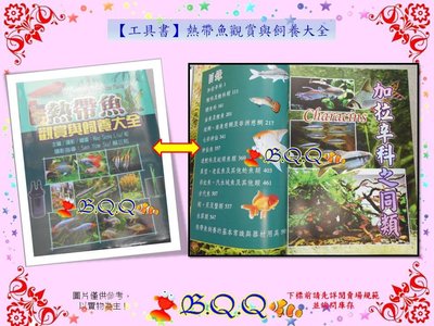 [B.Q.Q小舖]【工具書】【熱帶魚觀賞與飼養大全】暢銷書 玩家必備 印刷精美 圖鑑 圖檔 圖案