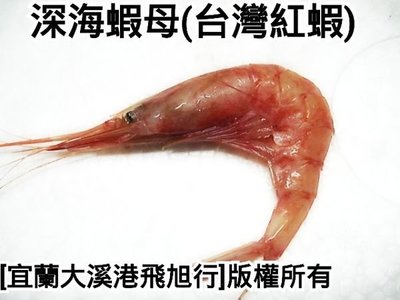 深海蝦母(台灣紅蝦)...一公斤約90/130尾