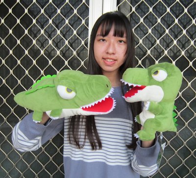 鱷魚手偶 暴龍手偶  活動道具 鱷魚 暴龍 暴眼龍 鱷魚寶寶 娃娃 手偶 造型手偶 表演道具