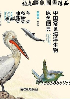 中國常見海洋生物原色圖典-鳥類 爬行類 哺乳類 劉雲 2020-6 中國海洋大學出版社