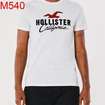【西寧鹿】Hollister Co. HCO 海鷗 短袖 T-SHIRT 絕對真貨 可面交 M540