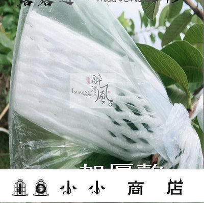 msy-芭樂番石榴套袋水果網套專用套袋有耳型防蟲袋防鳥泡沫網膠袋   kb