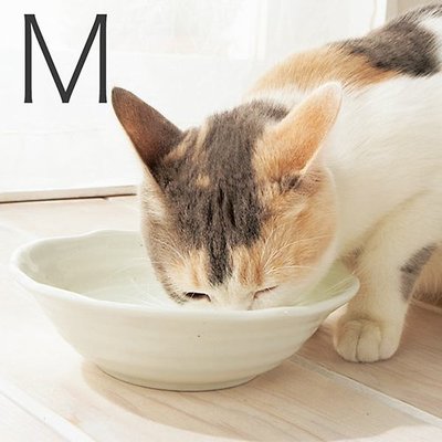 【臣喵小舖】日本製瀨戶燒 Aukatz Health Water Series 貓咪多喝水碗 淺口 小白碗 M