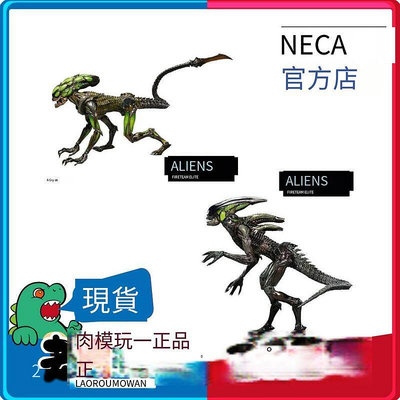 眾誠優品 正版兵人模型 【新品推薦】【現貨】正版NECA 51724 鐵血戰士 異形 火力小隊 第二彈關節可動BR833