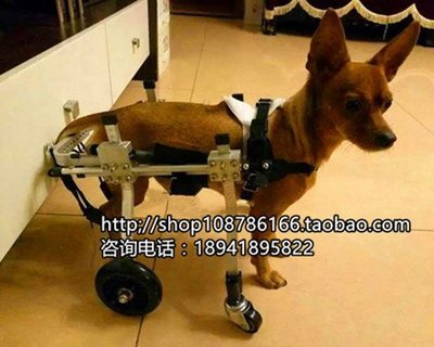 現貨 寵物推車狗輪椅/殘疾寵物后肢康復代步車/癱瘓狗康復訓練車后肢四輪助力車
