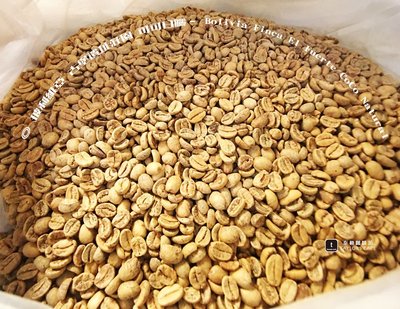 【TDTC 咖啡館】精選單品咖啡豆–玻利維亞 古堡遺址莊園 可可日曬–Bolivia CoCo Natural (半磅)