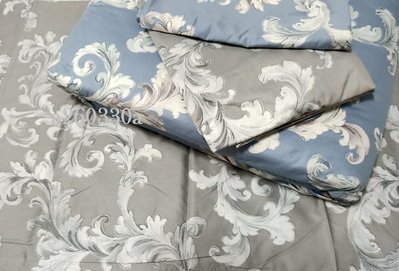 全新Tonia 東妮專櫃環保印染加大6*6.2尺4件式舖棉兩用被床包組《藍月》-原價11160元