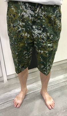 A級軍警小舖 BIGWASP 陸軍數位迷彩短褲 台灣製造 國軍迷彩系列 生存遊戲 軍事風格