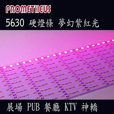LED 5630硬燈條 36株 (50cm) 12V  夢幻紫紅光  KTV 酒吧 餐廳 汽車旅館 氣氛燈