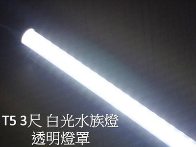[嬌光照明]LED水族燈 T5不斷光型 色溫 13000k 3呎 白光 透明 LED燈 LED日光燈 LED植物燈批發