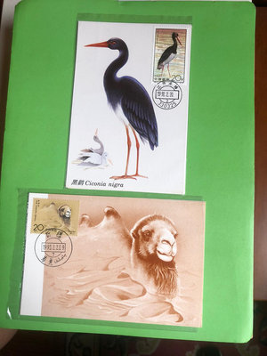 郵票  極限片二套MC12  鸛2全1套；MC15  野駱駝