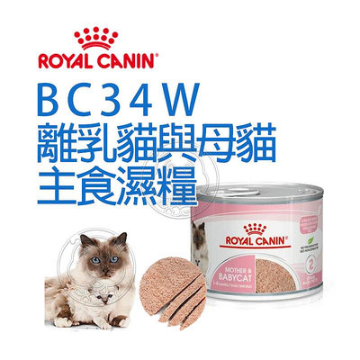【🐱🐶培菓寵物48H出貨🐰🐹】法國皇家 Royal Canin FHNW 皇家離乳貓與母貓專用濕糧BC34W 195克