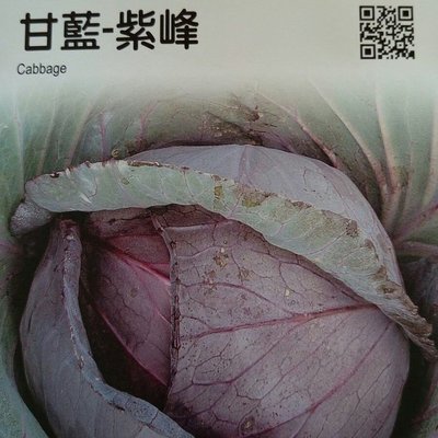 甘藍【滿790免運費】農友種苗 甘藍-紫峰 高麗菜(特選種子) 蔬菜種子 每包約1公克(g) 保證新鮮種子